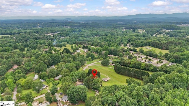228 Styles Rd, Taylors, SC 29687 - view of property location with a forest and a mountainous background
