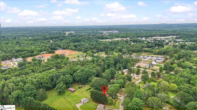 228 Styles Rd, Taylors, SC 29687 - drone / aerial view of a forest