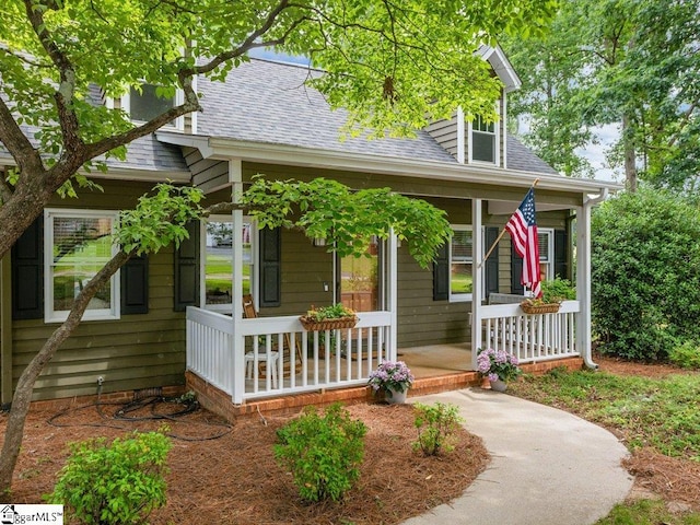 bungalow with covered porch and roof with shingles