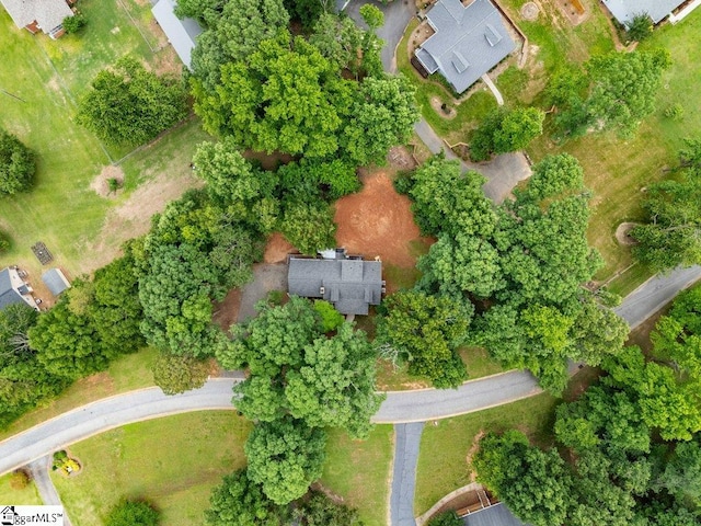 drone / aerial view