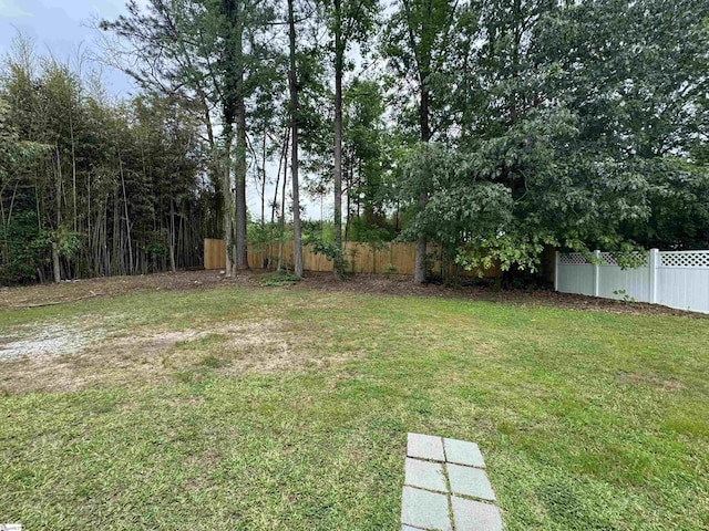 422 E Savannah St, Calhoun Falls, SC 29628 - view of yard