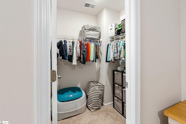 319 Sudduth Farms Dr, Greer, SC 29650 - spacious closet with carpet
