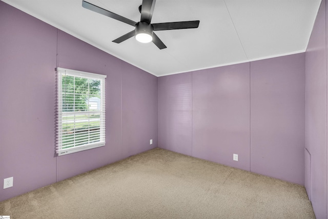 118 Quail Rd, Ninety Six, SC 29666 - empty room featuring carpet, a ceiling fan, and vaulted ceiling