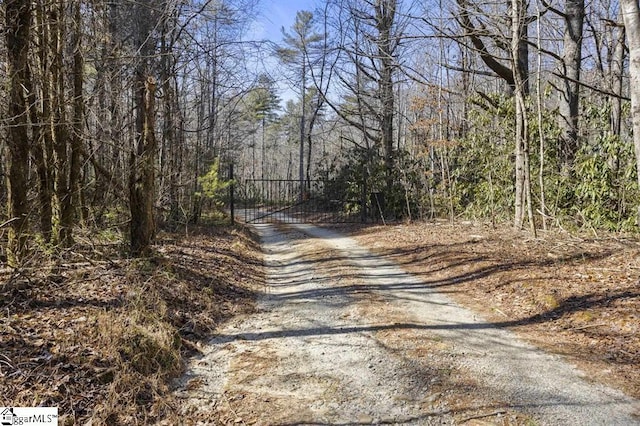 3772 Bear Paw Ridge Rd, Zirconia, NC 28790