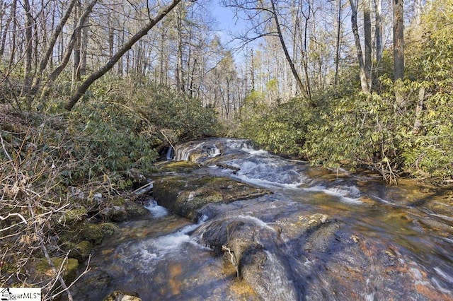 3772 Bear Paw Ridge Rd, Zirconia, NC 28790