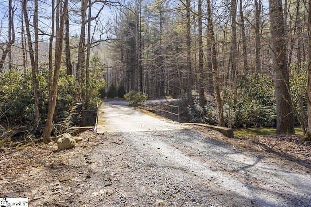 3772 Bear Paw Ridge Rd, Zirconia, NC 28790