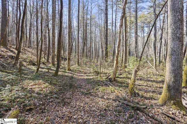 3772 Bear Paw Ridge Rd, Zirconia, NC 28790