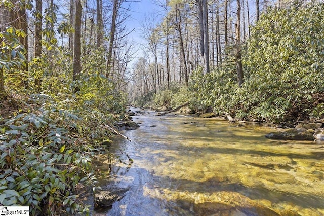 3772 Bear Paw Ridge Rd, Zirconia, NC 28790