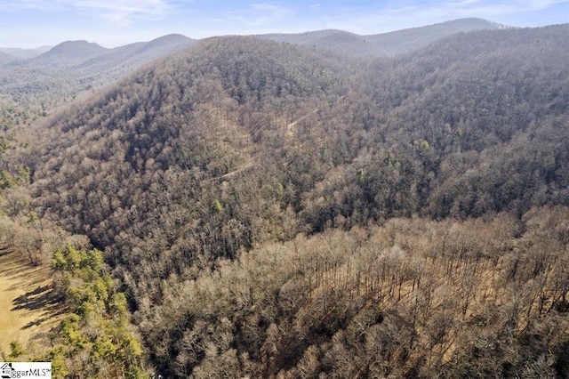 3772 Bear Paw Ridge Rd, Zirconia, NC 28790
