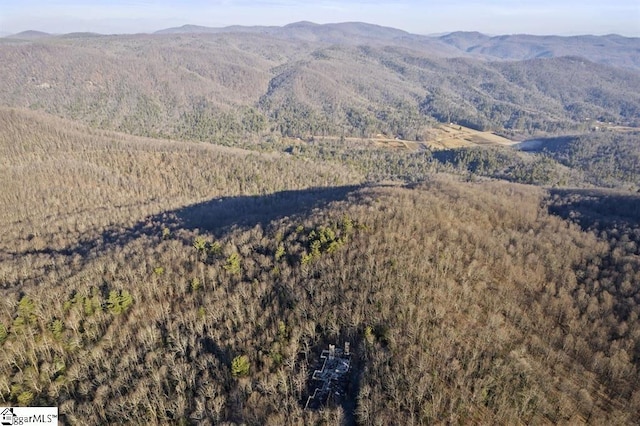 3772 Bear Paw Ridge Rd, Zirconia, NC 28790