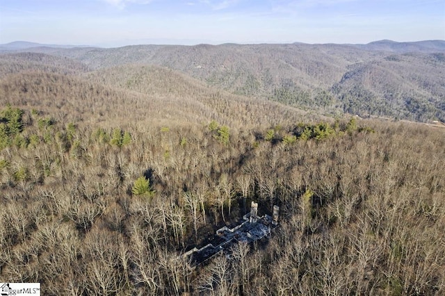 3772 Bear Paw Ridge Rd, Zirconia, NC 28790