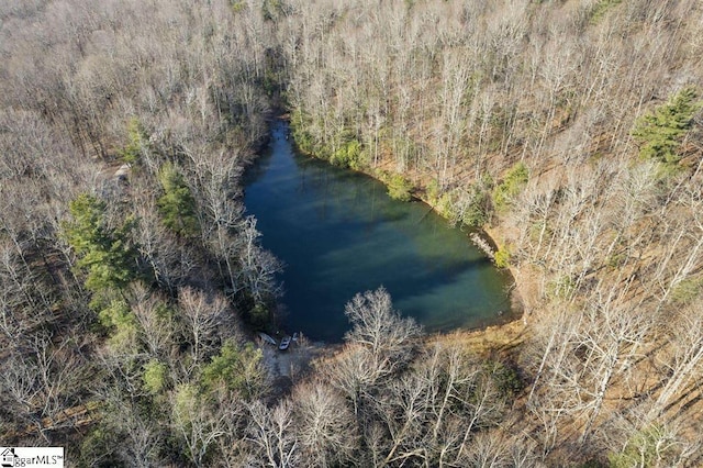 3772 Bear Paw Ridge Rd, Zirconia, NC 28790