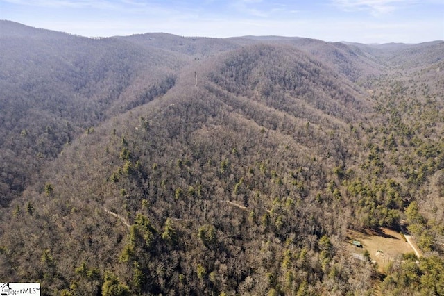 3772 Bear Paw Ridge Rd, Zirconia, NC 28790