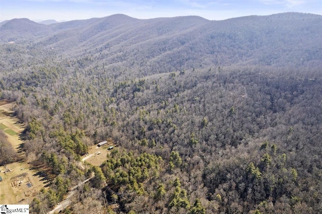 3772 Bear Paw Ridge Rd, Zirconia, NC 28790