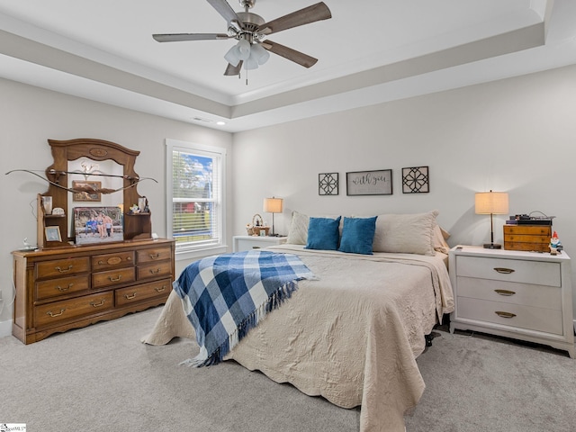225 Aldrich Rd, Chesnee, SC 29323 - bedroom with carpet, a raised ceiling, and ceiling fan