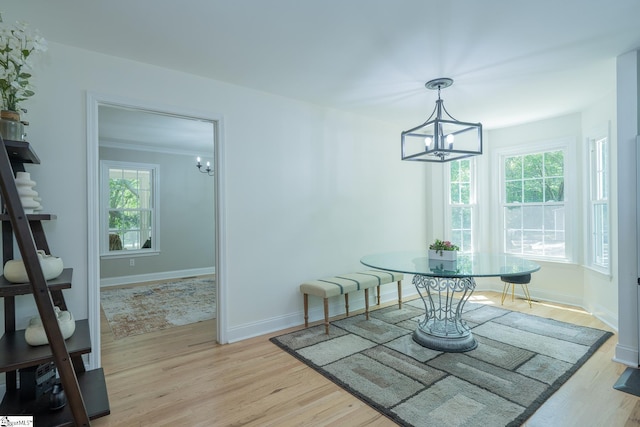 251 Williams Rd, Pelzer, SC 29669 - dining space with a chandelier, light wood-type flooring, healthy amount of natural light, and baseboards