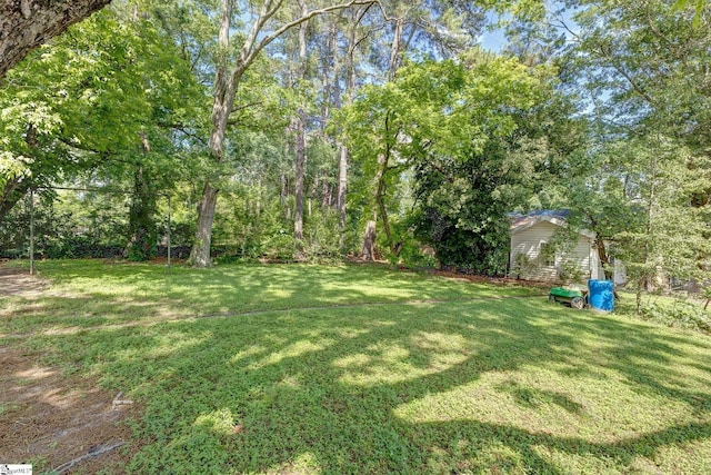 600 Gulliver St, Fountain Inn, SC 29644 - view of grassy yard
