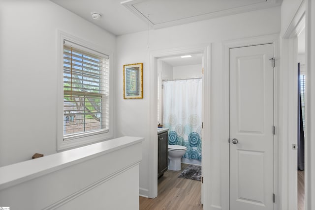 508 W D Ave, Easley, SC 29640 - corridor with attic access and light wood-style floors