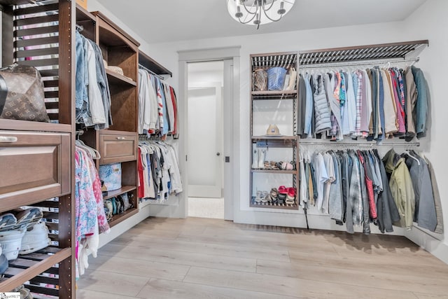 320 Terry Rd, Fountain Inn, SC 29644 - walk in closet with wood finished floors