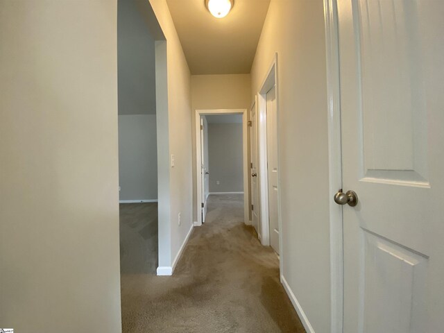 110 Patagonia Rd, Anderson, SC 29625 - hallway with carpet and baseboards