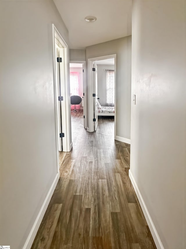 739 Shelburne Ln, Lyman, SC 29365 - corridor with baseboards and wood finished floors