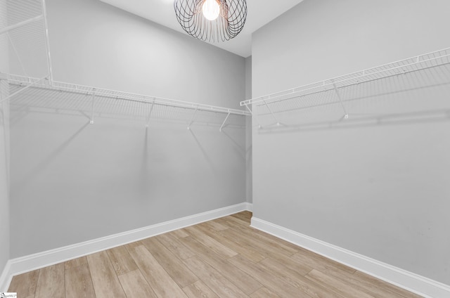226 Deerview Trl, Simpsonville, SC 29680 - spacious closet with wood finished floors
