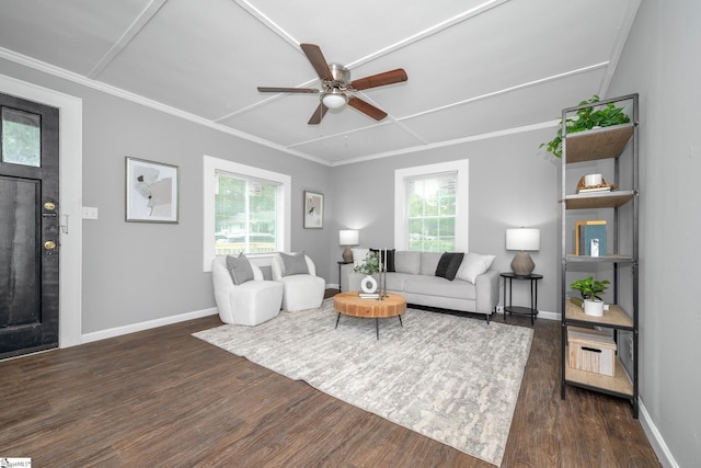 1818 Green St, Anderson, SC 29625 - living room featuring dark wood-style floors, a ceiling fan, plenty of natural light, baseboards, and ornamental molding