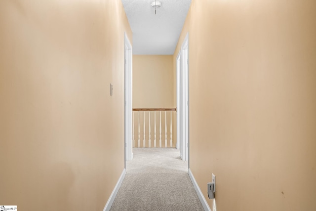 103 Farming Creek Dr, Simpsonville, SC 29680 - hallway featuring carpet and baseboards