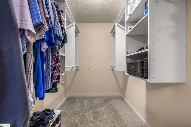 103 Farming Creek Dr, Simpsonville, SC 29680 - walk in closet with carpet flooring