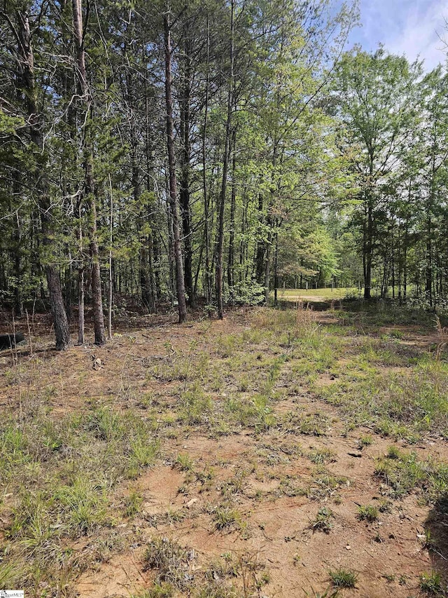 200 Tommys Trl, Pickens, SC 29671