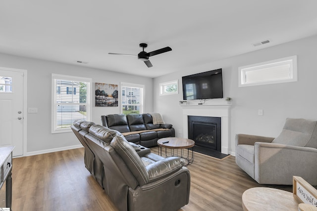 116 Bruinen Dr, Fountain Inn, SC 29644 - living room featuring ceiling fan, light wood finished floors, a glass covered fireplace, and baseboards