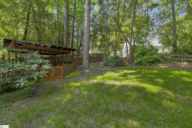411 Wild Horse Creek Dr, Simpsonville, SC 29680 - view of yard
