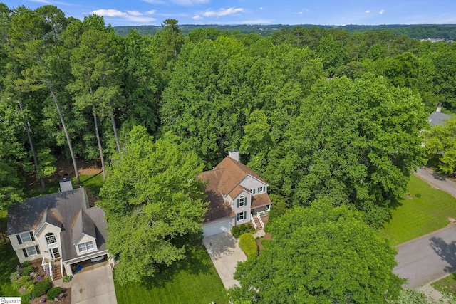 411 Wild Horse Creek Dr, Simpsonville, SC 29680 - drone / aerial view of a forest