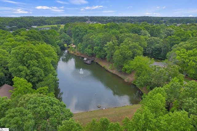 411 Wild Horse Creek Dr, Simpsonville, SC 29680 - bird's eye view of a nearby body of water and a forest