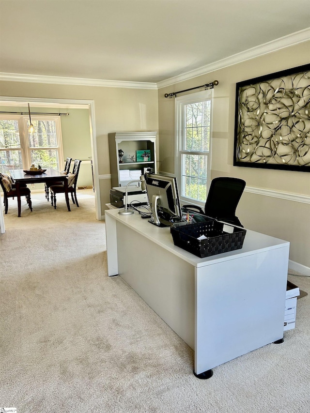 207 White Water Ct, Greer, SC 29650 - carpeted home office with ornamental molding and plenty of natural light