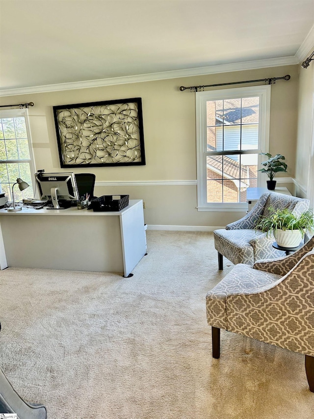207 White Water Ct, Greer, SC 29650 - carpeted office space featuring ornamental molding, healthy amount of natural light, and baseboards