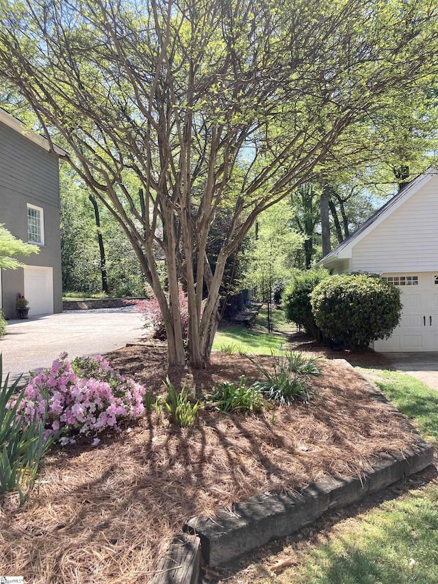 207 White Water Ct, Greer, SC 29650 - view of yard featuring a garage