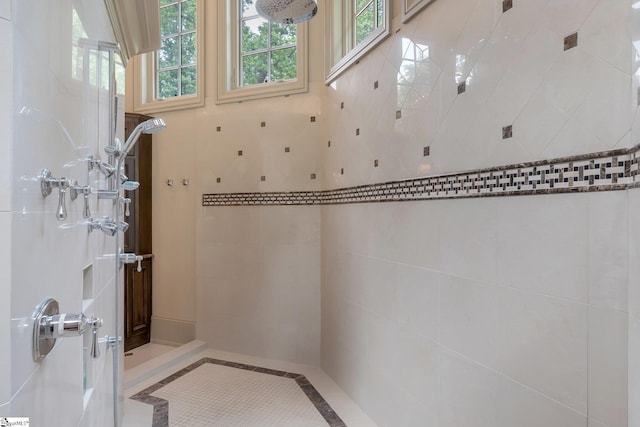 58 Wild Ginger Rd, Landrum, SC 29356 - bathroom with plenty of natural light and inlaid floor details
