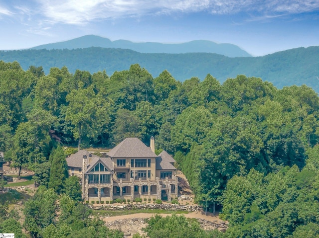 58 Wild Ginger Rd, Landrum, SC 29356 - mountain view featuring a heavily wooded area