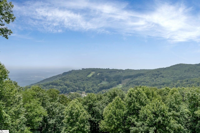 58 Wild Ginger Rd, Landrum, SC 29356 - view of mountain background with a forest