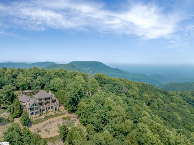58 Wild Ginger Rd, Landrum, SC 29356 - aerial view of property and surrounding area with a forest and a mountainous background