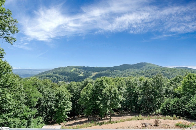58 Wild Ginger Rd, Landrum, SC 29356 - mountain view with a forest