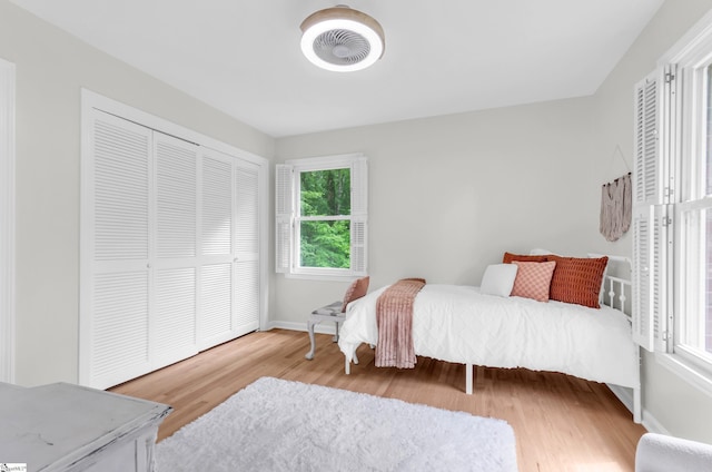 116 Arnold Dr, Anderson, SC 29621 - bedroom with light wood-style floors, multiple windows, a closet, and baseboards