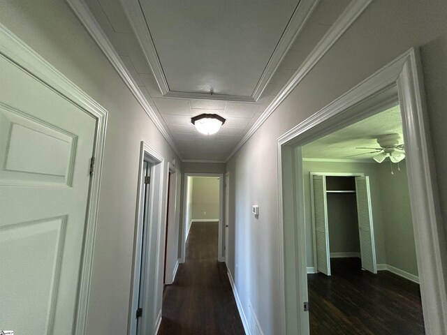 325 Byrnes St, Joanna, SC 29351 - corridor with attic access, dark wood-style floors, and baseboards