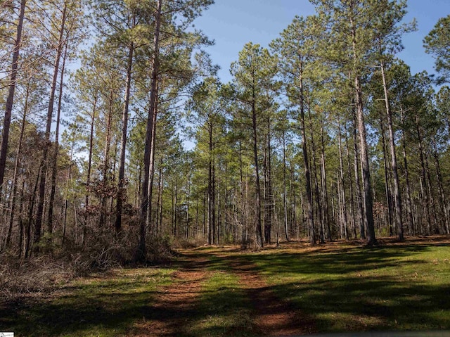 002B Simms Mill Rd Lot B, Lot B, Liberty, SC 29657