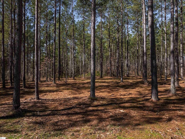 002B Simms Mill Rd Lot B, Lot B, Liberty, SC 29657