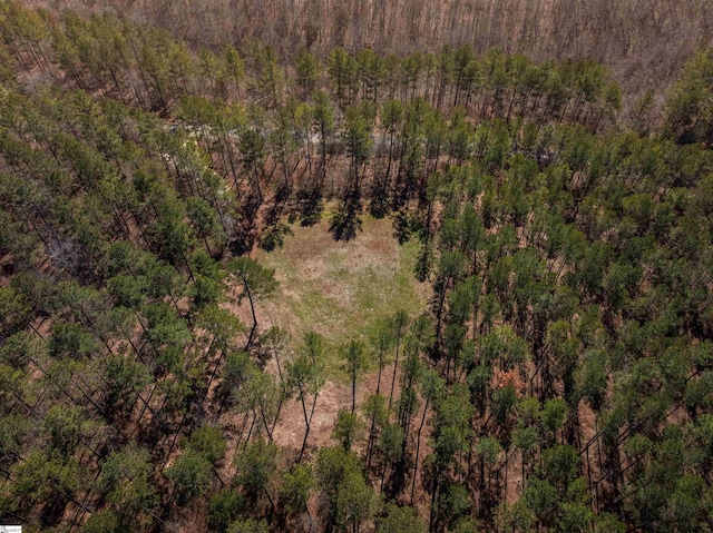 002B Simms Mill Rd Lot B, Lot B, Liberty, SC 29657