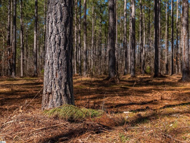 002B Simms Mill Rd Lot B, Lot B, Liberty, SC 29657