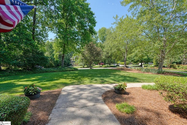 201 Woodridge Dr, Spartanburg, SC 29301 - view of green lawn