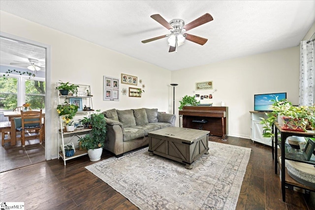 116 Kennedy St, Easley, SC 29642 - living room with ceiling fan, dark wood-style flooring, and a textured ceiling